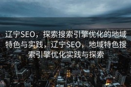 辽宁SEO，探索搜索引擎优化的地域特色与实践，辽宁SEO，地域特色搜索引擎优化实践与探索