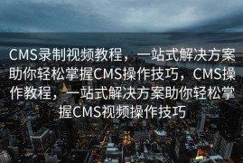 SEO实战密码，揭秘搜索引擎优化的成功之道，揭秘SEO实战秘籍，搜索引擎优化成功之道探索