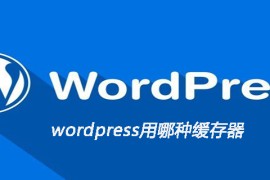 wordpress用哪种缓存器