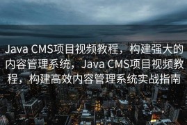 Java CMS项目视频教程，构建强大的内容管理系统，Java CMS项目视频教程，构建高效内容管理系统实战指南