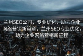 兰州SEO公司，专业优化，助力企业网络营销新篇章，兰州SEO专业优化，助力企业网络营销新征程