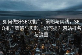如何做好SEO推广，策略与实践，SEO推广策略与实践，如何提升网站排名与流量