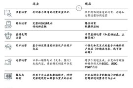 夯实全渠道能力，激活高质量增长-2025最新seo资料
