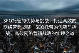 SEO托管的优势与挑战，打造高效的网络营销战略，SEO托管的优势与挑战，高效网络营销战略的实现之道
