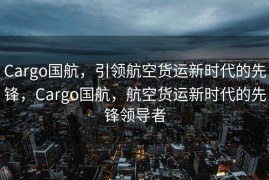 Cargo国航，引领航空货运新时代的先锋，Cargo国航，航空货运新时代的先锋领导者
