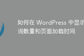 如何在 WordPress 中显示查询数量和页面加载时间