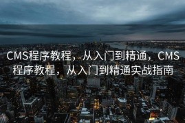 CMS程序教程，从入门到精通，CMS程序教程，从入门到精通实战指南