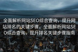 全面解析网站SEO综合查询，提升网站排名的关键步骤，全面解析网站SEO综合查询，提升排名关键步骤指南