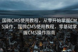 国微CMS使用教程，从零开始掌握CMS操作，国微CMS使用教程，零基础掌握CMS操作指南