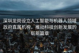 深圳龙岗设立人工智能与机器人领域政府直属机构，推动科技创新发展的崭新篇章