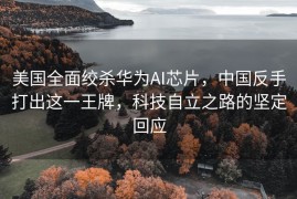美国全面绞杀华为AI芯片，中国反手打出这一王牌，科技自立之路的坚定回应