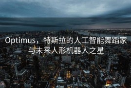 Optimus，特斯拉的人工智能舞蹈家与未来人形机器人之星