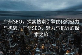 广州SEO，探索搜索引擎优化的魅力与机遇，广州SEO，魅力与机遇的探索之旅