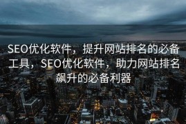 SEO优化软件，提升网站排名的必备工具，SEO优化软件，助力网站排名飙升的必备利器