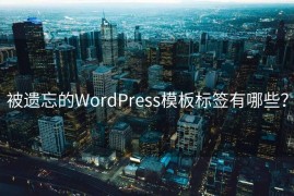 被遗忘的WordPress模板标签有哪些？