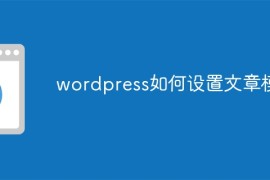 wordpress如何设置文章模板