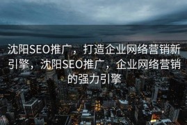 沈阳SEO推广，打造企业网络营销新引擎，沈阳SEO推广，企业网络营销的强力引擎