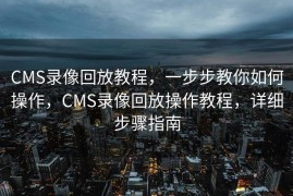CMS录像回放教程，一步步教你如何操作，CMS录像回放操作教程，详细步骤指南