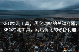 SEO检测工具，优化网站的关键利器，SEO检测工具，网站优化的必备利器