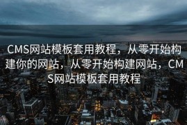 CMS网站模板套用教程，从零开始构建你的网站，从零开始构建网站，CMS网站模板套用教程