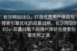 长沙网站SEO，打造优质用户体验与搜索引擎优化的双赢战略，长沙网站SEO，双赢战略下的用户体验与搜索引擎优化之道