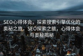 SEO心得体会，探索搜索引擎优化的奥秘之旅，SEO探索之旅，心得体会与奥秘揭秘