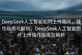 DeepSeek人工智能如何上传图片，操作指南与解析，DeepSeek人工智能图片上传操作指南及解析