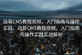 动易CMS教程视频，入门指南与操作实践，动易CMS教程视频，入门指南与操作实践实战解析