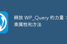 释放 WP_Query 的力量：探索属性和方法