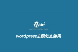 wordpress主题怎么使用呢