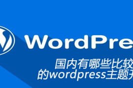 国内有哪些比较知名的wordpress主题开发网站