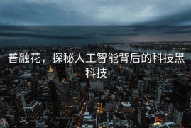 普融花，探秘人工智能背后的科技黑科技
