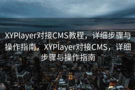 XYPlayer对接CMS教程，详细步骤与操作指南，XYPlayer对接CMS，详细步骤与操作指南
