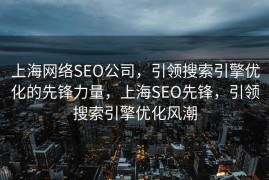 上海网络SEO公司，引领搜索引擎优化的先锋力量，上海SEO先锋，引领搜索引擎优化风潮