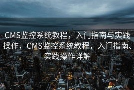 CMS监控系统教程，入门指南与实践操作，CMS监控系统教程，入门指南、实践操作详解