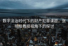 数字法治时代下的财产犯罪课题，张明楷教授视角下的探讨