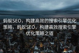 蚂蚁SEO，构建高效的搜索引擎优化策略，蚂蚁SEO，构建高效搜索引擎优化策略之道