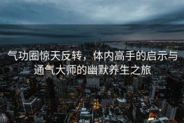 气功圈惊天反转，体内高手的启示与通气大师的幽默养生之旅