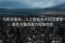 马斯克警告，人工智能技术的迅速发展引发美国电力短缺危机