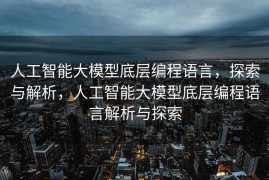 人工智能大模型底层编程语言，探索与解析，人工智能大模型底层编程语言解析与探索