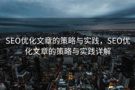 SEO优化文章的策略与实践，SEO优化文章的策略与实践详解