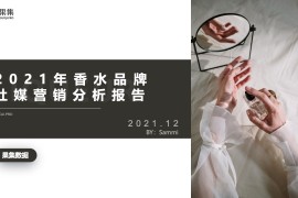 果集：2021年香水品牌社媒营销分析报告-2025最新seo资料