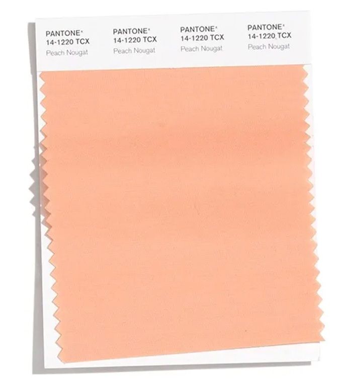 潘通PANTONE 2020秋冬纽约时装周流行色报告(图10)