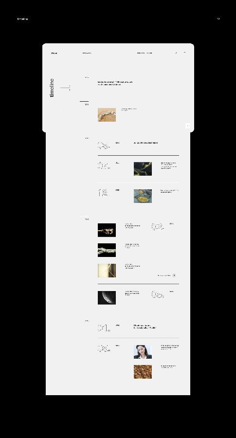 分享超有质感的海外网站设计作品(图25)