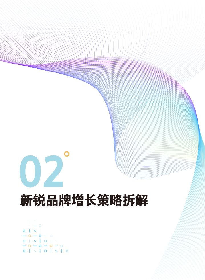 2022新锐品牌增长研究报告(图19)
