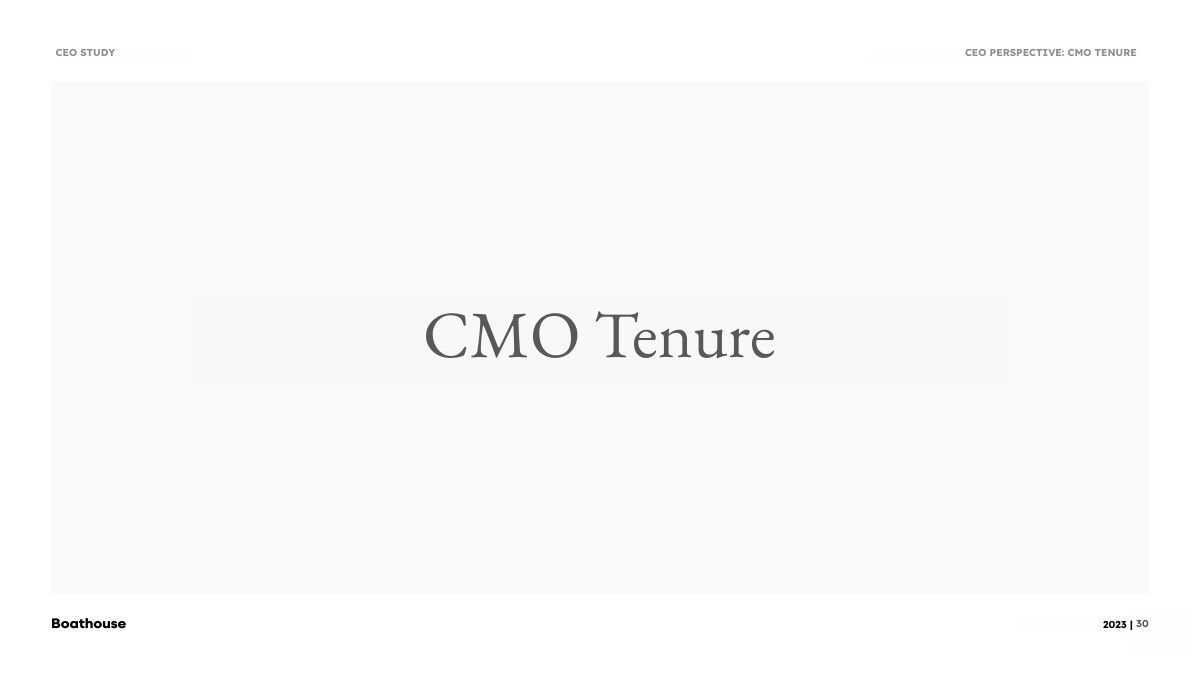 2023年CEO调查报告(图30)
