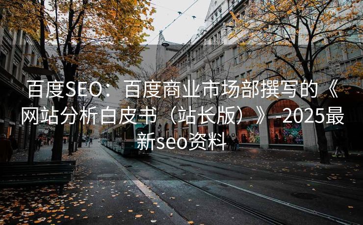 百度SEO：百度商业市场部撰写的《网站分析白皮书（站长版）》-2025最新seo资料