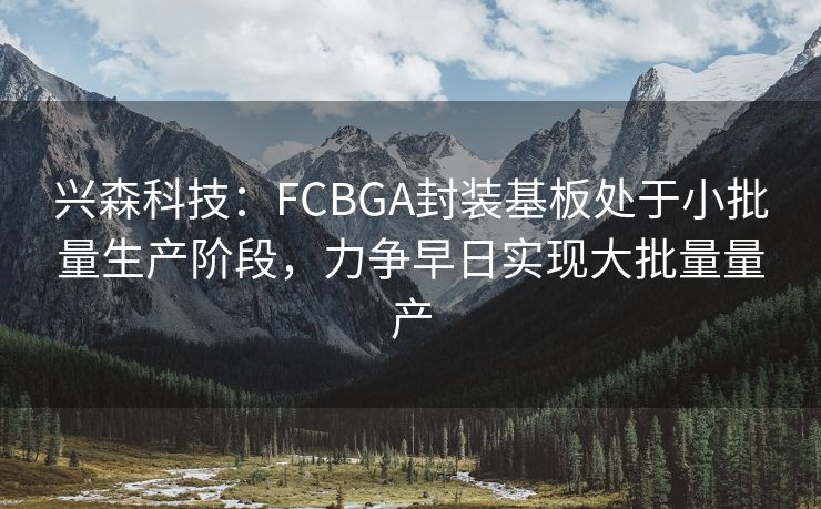兴森科技：FCBGA封装基板处于小批量生产阶段，力争早日实现大批量量产