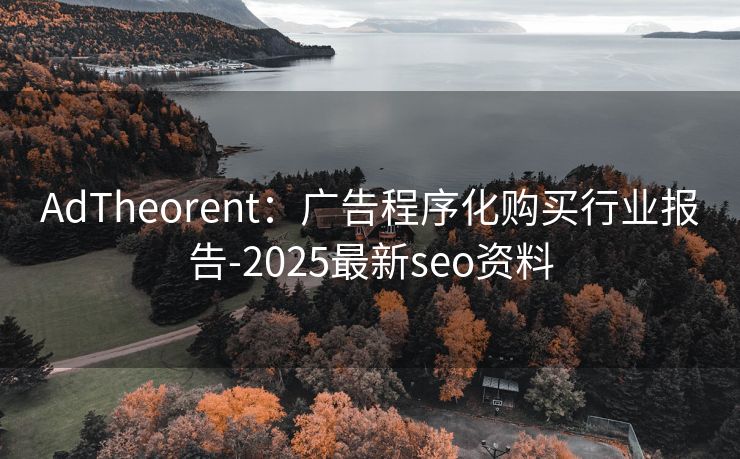 AdTheorent：广告程序化购买行业报告-2025最新seo资料