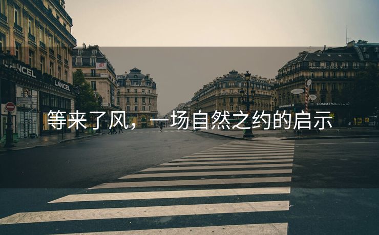 等来了风，一场自然之约的启示